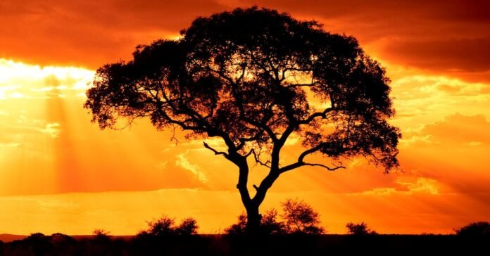 WisdomTree Adds Bitcoin Futures Exposure to Fund, Refiles for Spot ETF WisdomTree Adds Bitcoin Futures Exposure to Fund, Refiles for Spot ETF