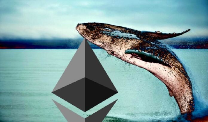 Ethereum Whales Quietly Filled Up On ETH While Broader Market Panicked Ethereum Whales Quietly Filled Up On ETH While Broader Market Panicked