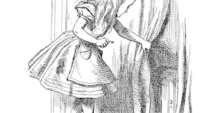 Wonderland's (and DeFi's) Anonymity Problem Wonderland's (and DeFi's) Anonymity Problem