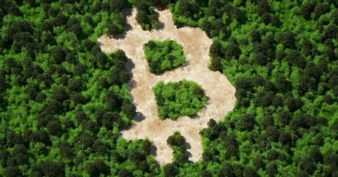 Can Crypto Go Green? How to Invest in Eco-Friendly Cryptocurrencies Can Crypto Go Green? How to Invest in Eco-Friendly Cryptocurrencies
