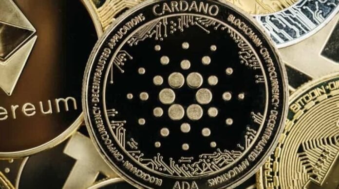 Solana, Cardano, Matic, Avalanche, Litecoin, Bitgert & Centcex Solana, Cardano, Matic, Avalanche, Litecoin, Bitgert & Centcex