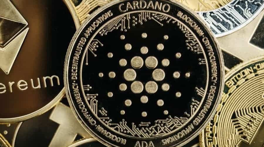 Solana, Cardano, Matic, Avalanche, Litecoin, Bitgert & Centcex
