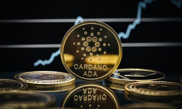cardano-1-1000x600.jpg