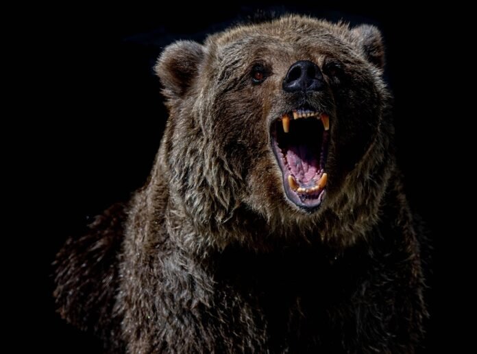 Are We In A Bear Market? Glassnode Analyses The Latest Bitcoin Crash Are We In A Bear Market? Glassnode Analyses The Latest Bitcoin Crash