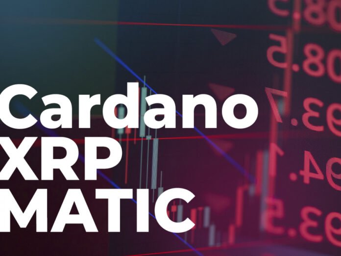 Cardano, XRP and MATIC Are Down by Double Digits as Bitcoin Falls to New Lows Cardano, XRP and MATIC Are Down by Double Digits as Bitcoin Falls to New Lows