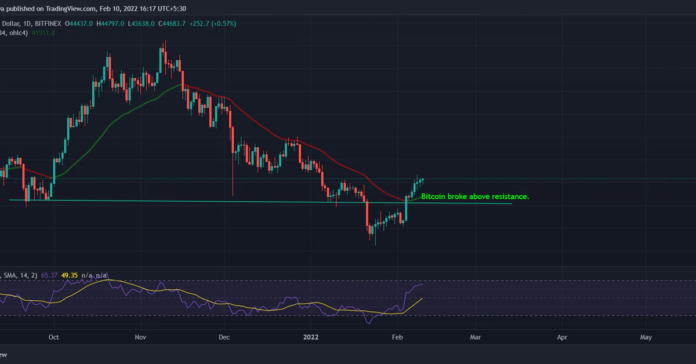 Los mercados cripto se mantienen estables mientras inversores institucionales compran bitcoin Los mercados cripto se mantienen estables mientras inversores institucionales compran bitcoin