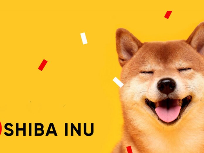 Shiba Inu Enters The Metaverse, But Will This Help Its Price? Shiba Inu Enters The Metaverse, But Will This Help Its Price?