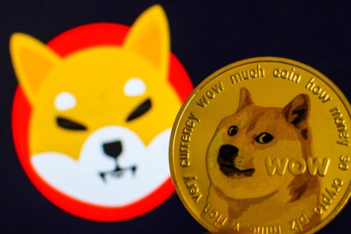 Shiba-Inu-980x653.jpeg