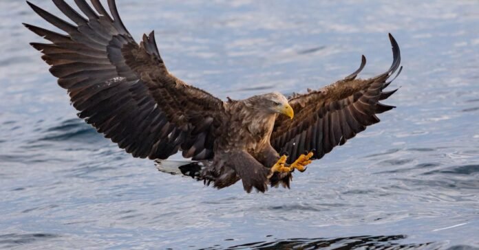 Fed’s Hawkish Pivot May Not Last, Bitcoin Analysts Say Fed’s Hawkish Pivot May Not Last, Bitcoin Analysts Say