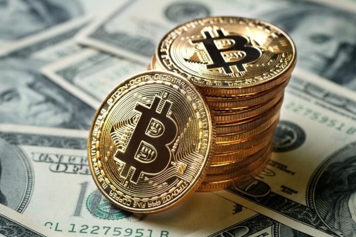 Small Cap Index Lead Gains In February, But What Is Bitcoin Doing? Small Cap Index Lead Gains In February, But What Is Bitcoin Doing?
