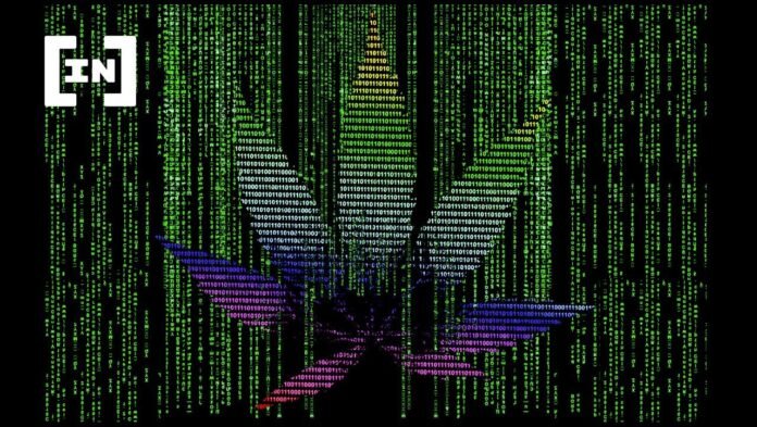 How the Blockchain can Protect Growers with Unique Strains How the Blockchain can Protect Growers with Unique Strains