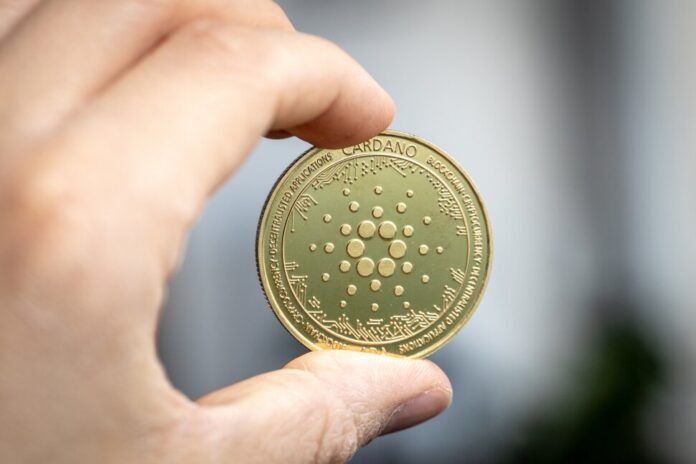 3 Blockchain Investments That Compete With Ethereum | Cryptocurrency 3 Blockchain Investments That Compete With Ethereum | Cryptocurrency